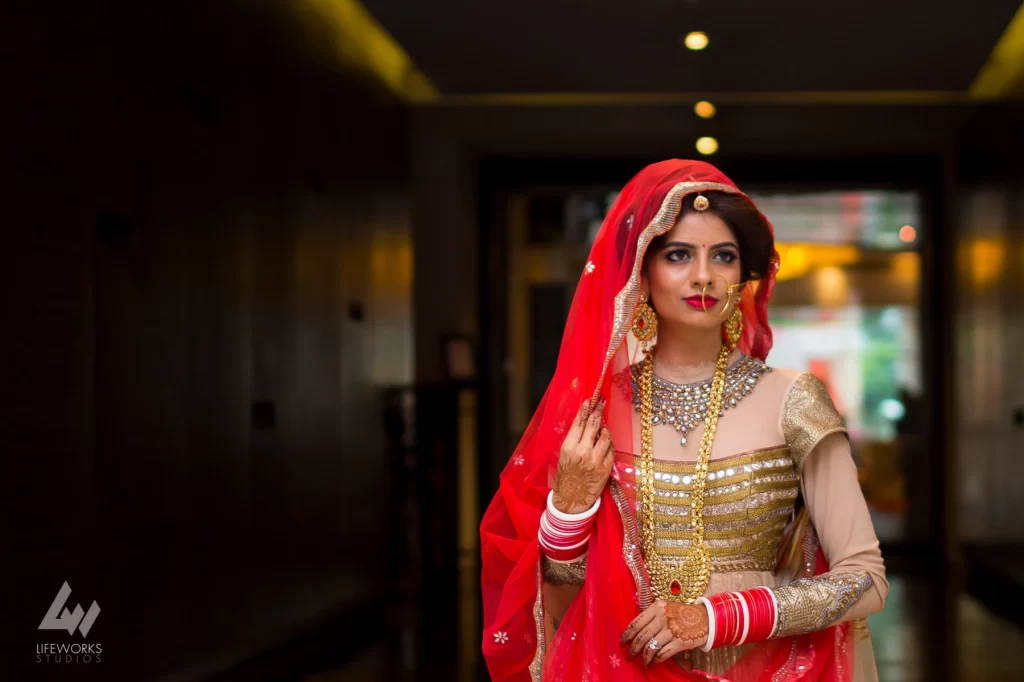 A collection of stunning photographs capturing the bride in various elegant poses, showcasing her bridal attire, accessories, and radiant expression, reflecting the beauty and grace of the bride on her special day