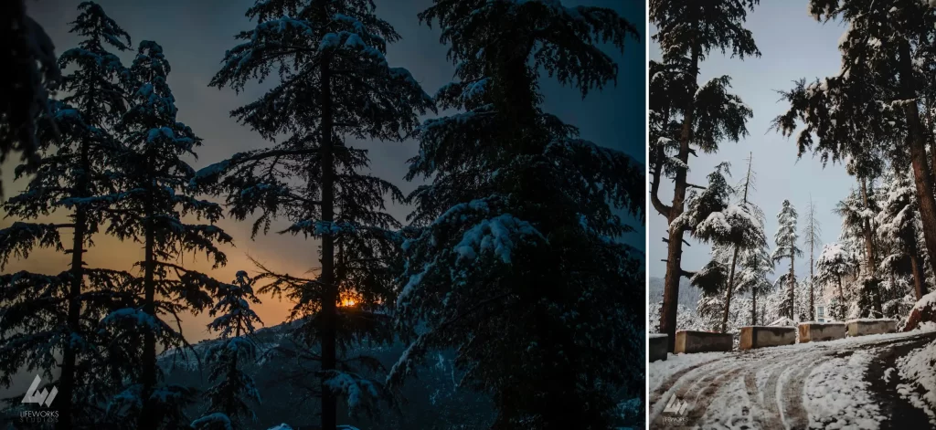 Pre wedding shoot in Khajjiar, Himachal Pradesh, India